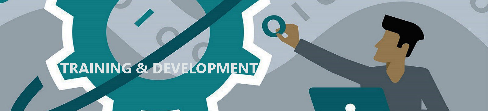 TRAINING & DEVELOPMENT